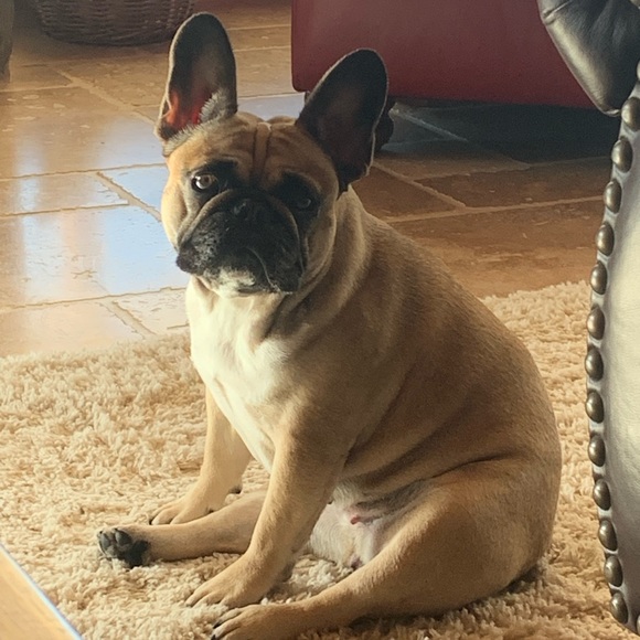 Meet your Posher, Chrissy - Picture 6 of 8